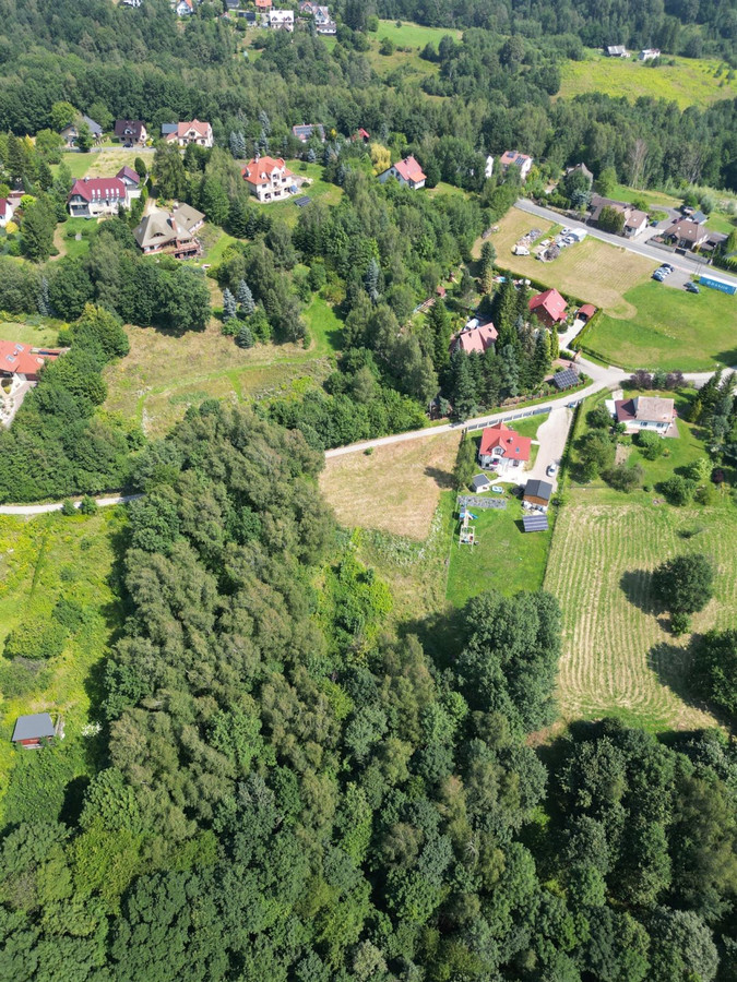 Duża działka budowlana otoczona lasem, 10km od KRK - Widok 5