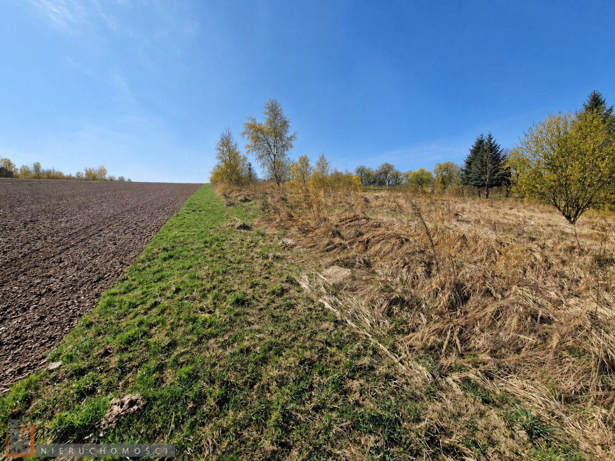 gratka-PAC-GS-10135 - Widok 2