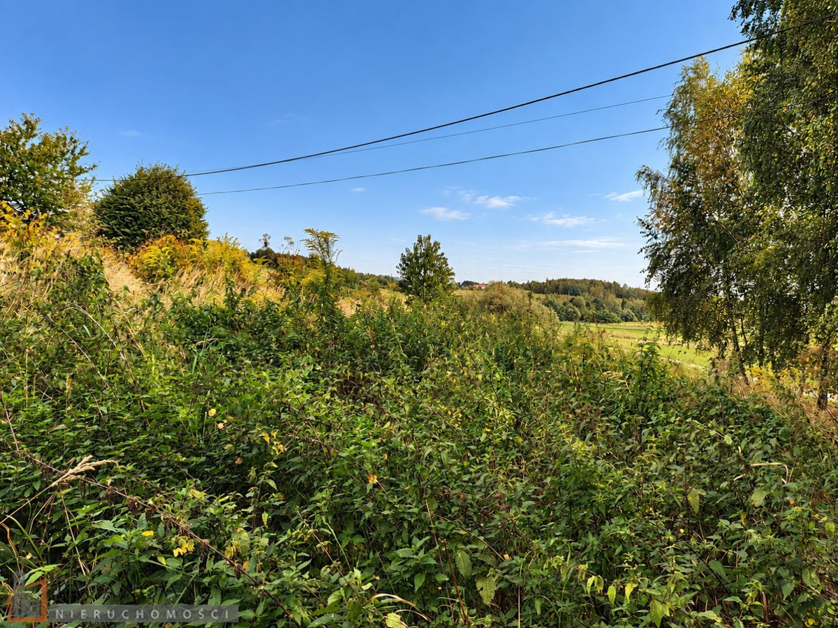 gratka-PAC-GS-10168 - Widok 5