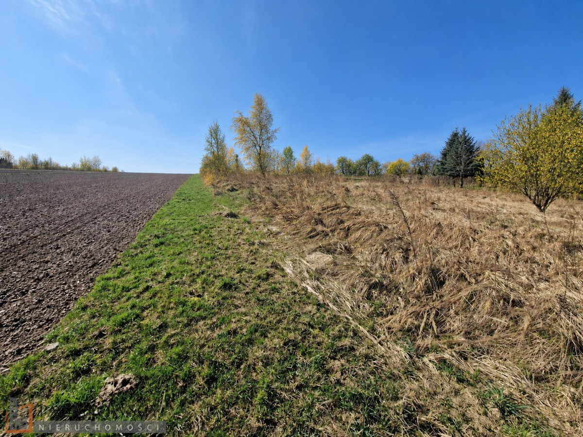 gratka-PAC-GS-10135 - Widok 3