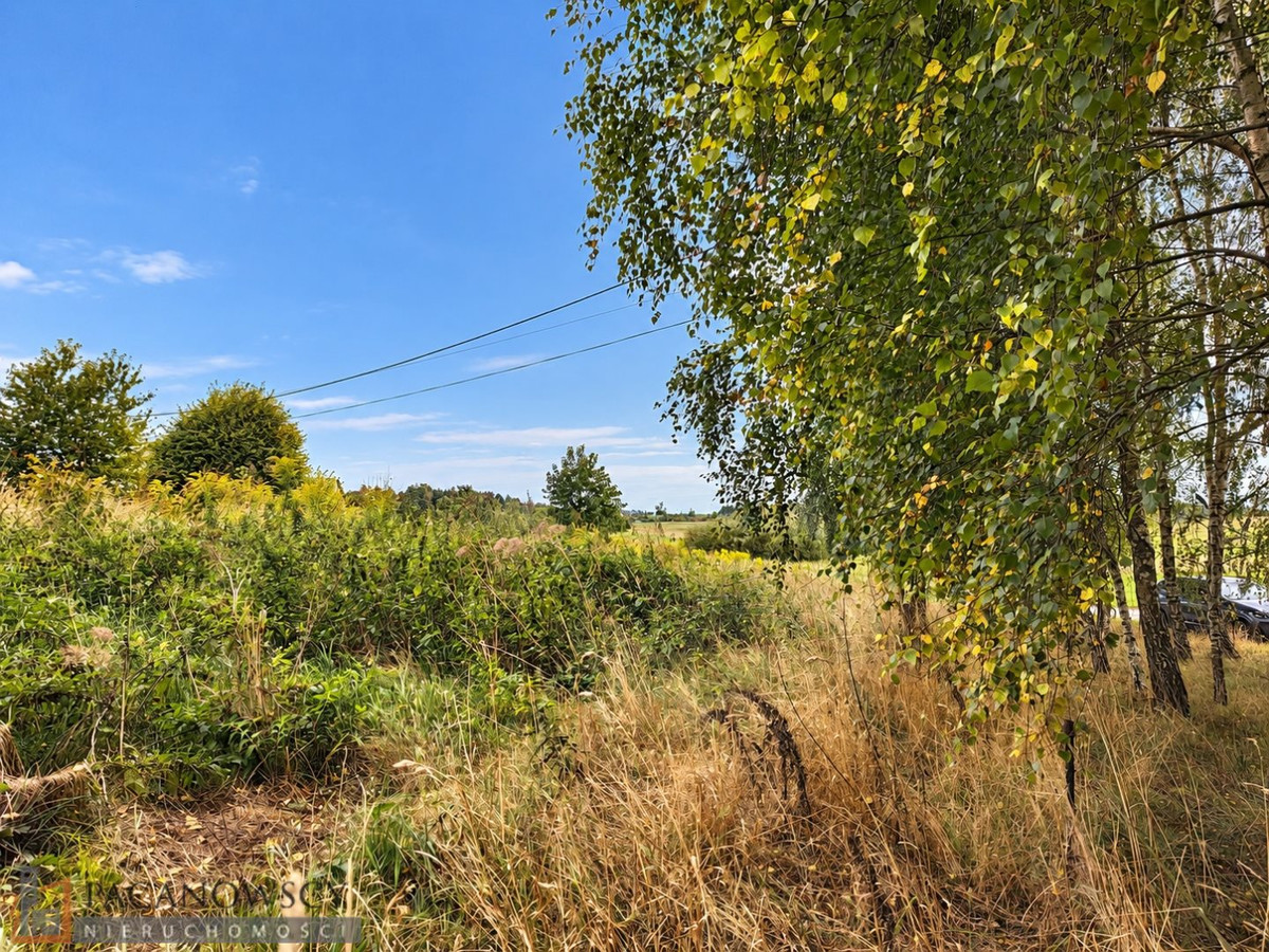 gratka-PAC-GS-10168 - Więcej