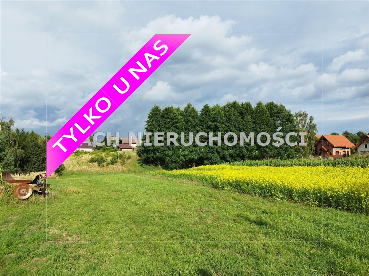 Art, 1050 m²