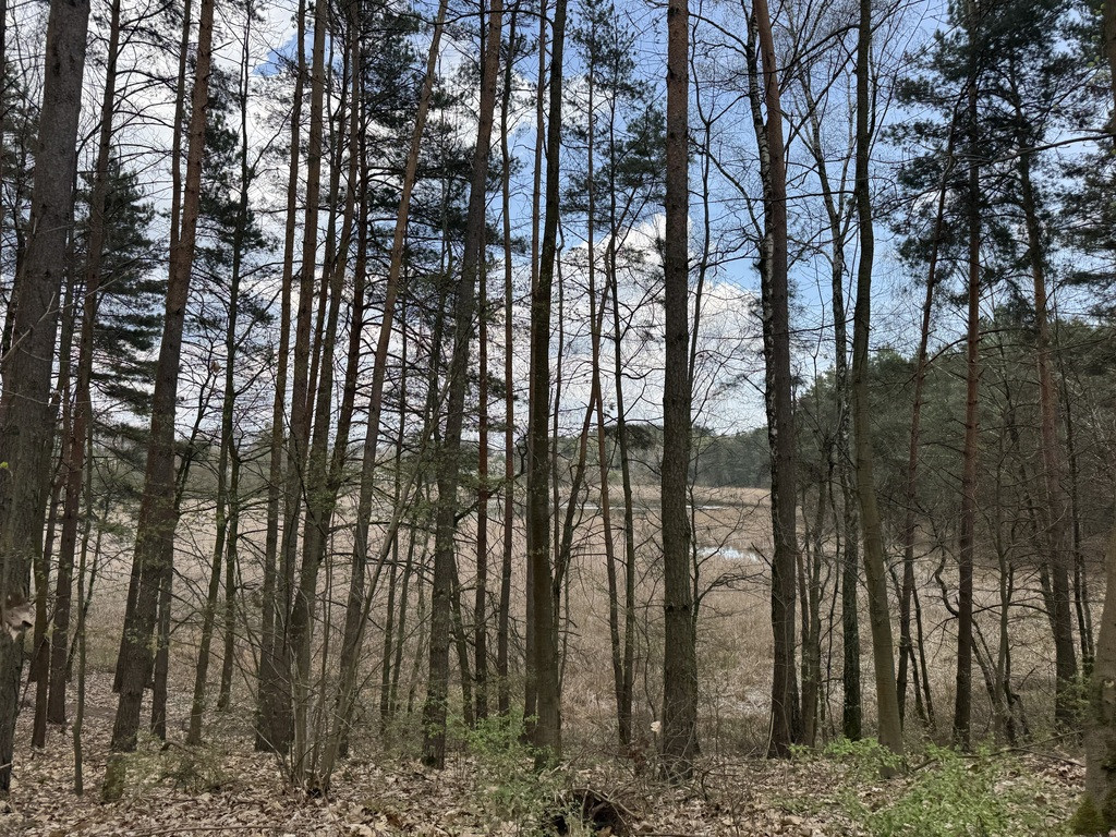 Działka w spokojnej okolicy - Więcej