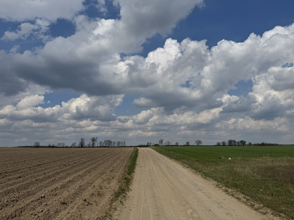Działka w spokojnej okolicy - Widok 3