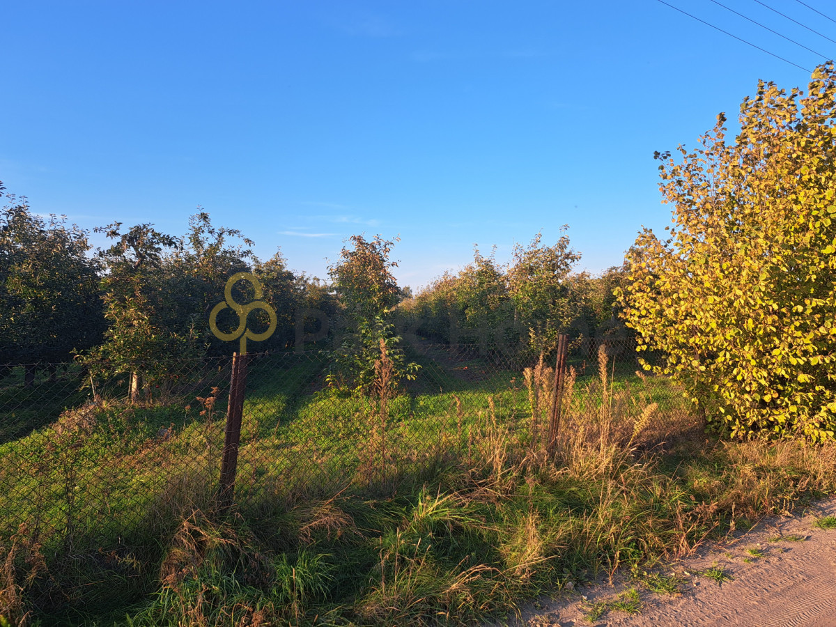 Działka 3100 m² z WZ - cisza i prywatność - Widok 4