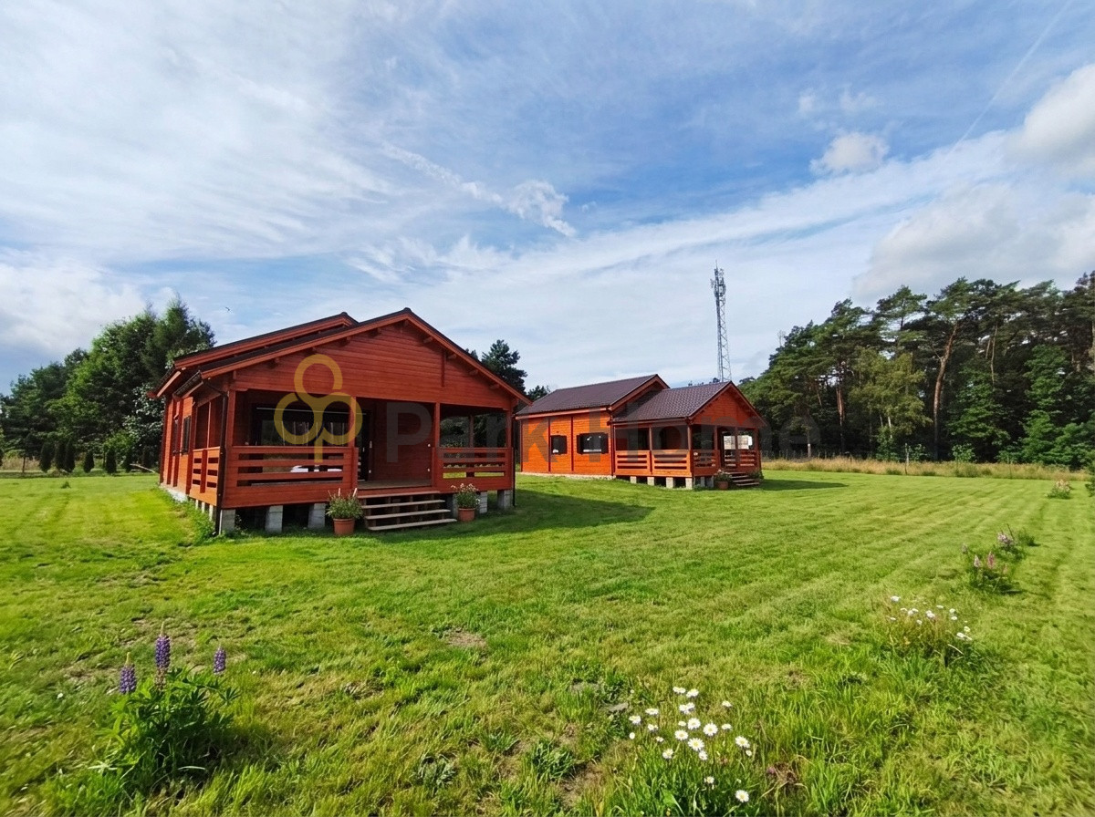 Dom – Skąpe, Niesulice - Widok 2