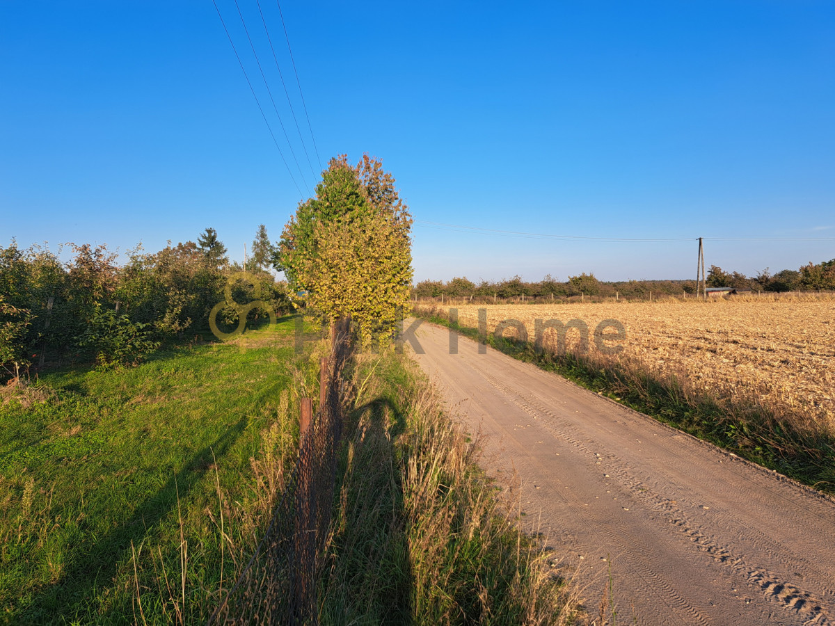 Działka 3100 m² z WZ - cisza i prywatność - Widok 3