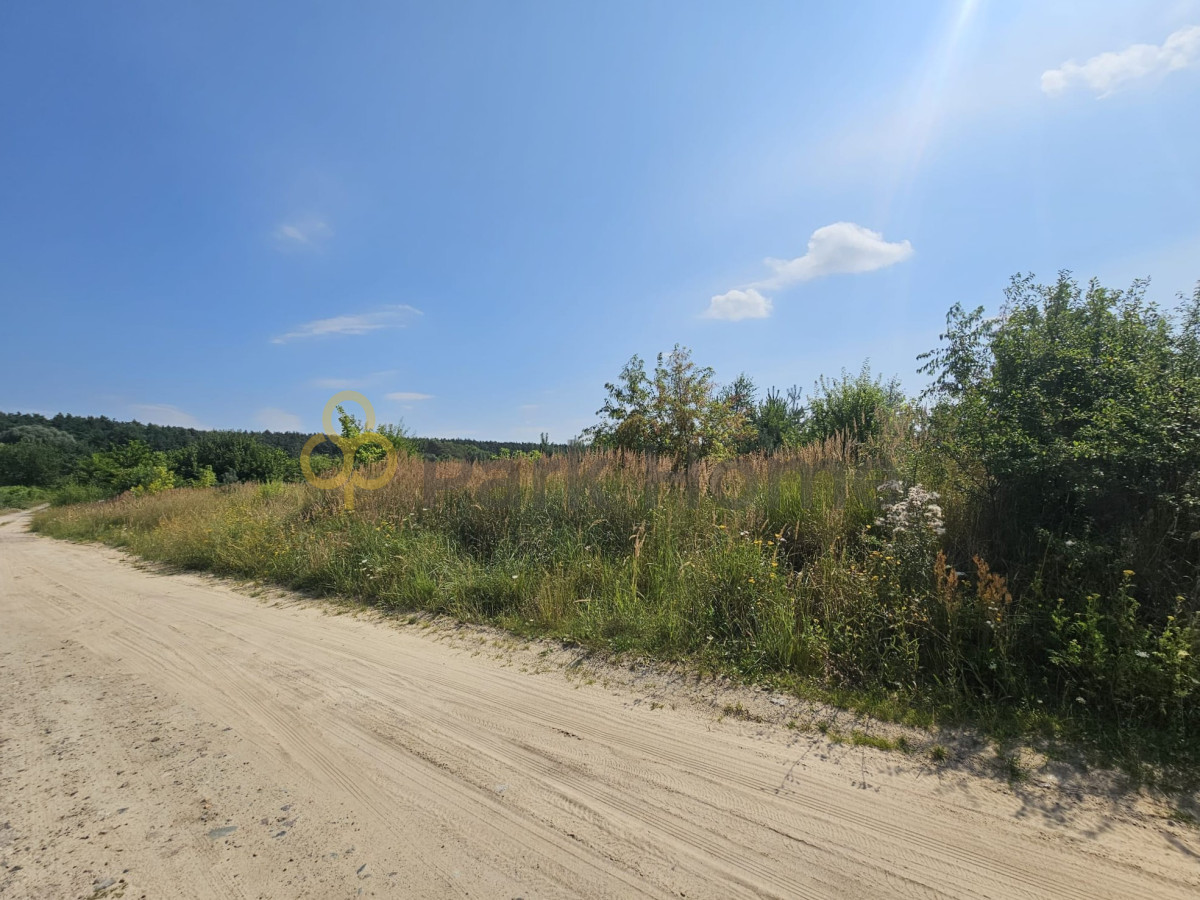 Urokliwa działka - Szymanowo - MPZP - Widok 4