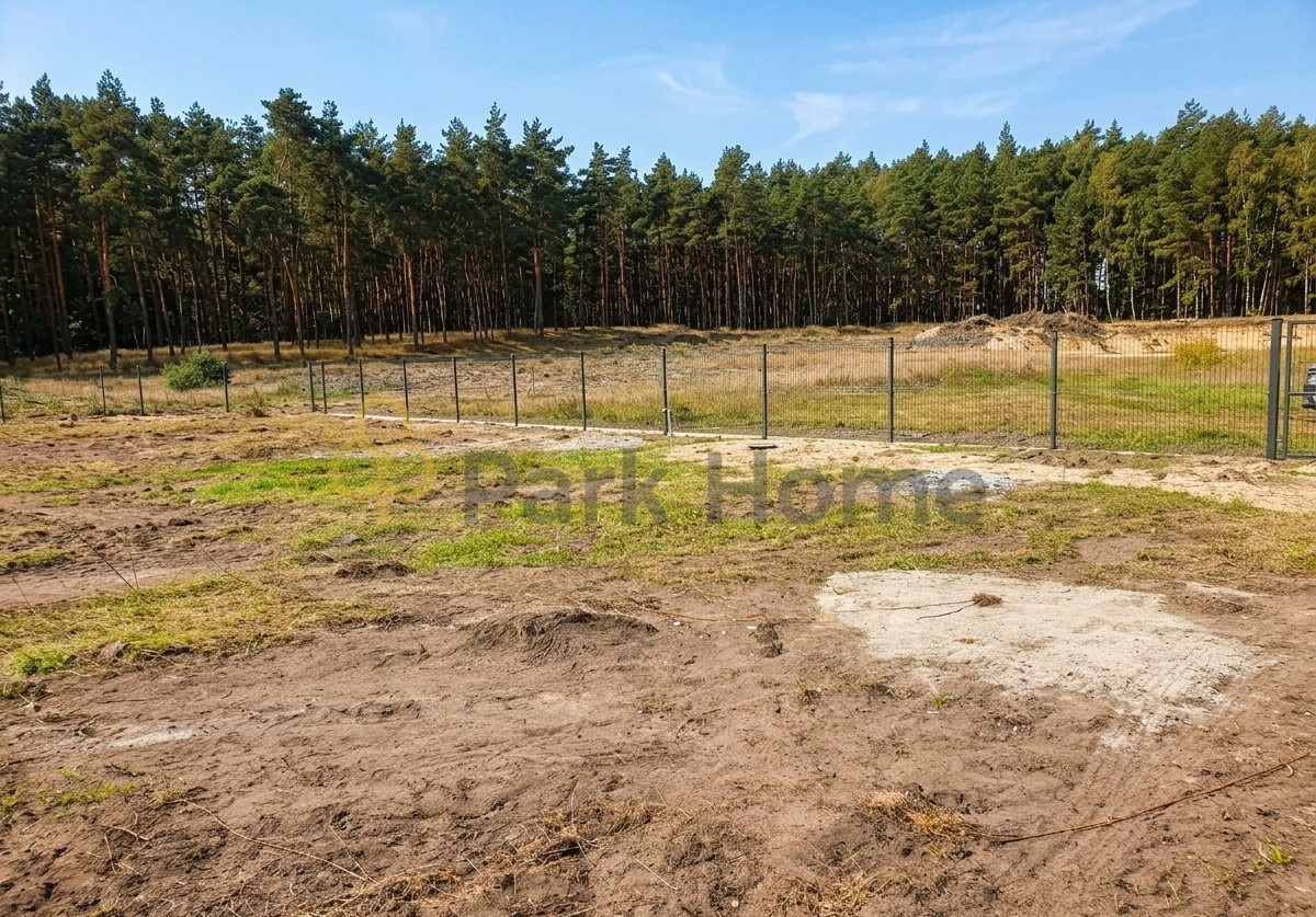 Działka z WZ, las - Widok 4