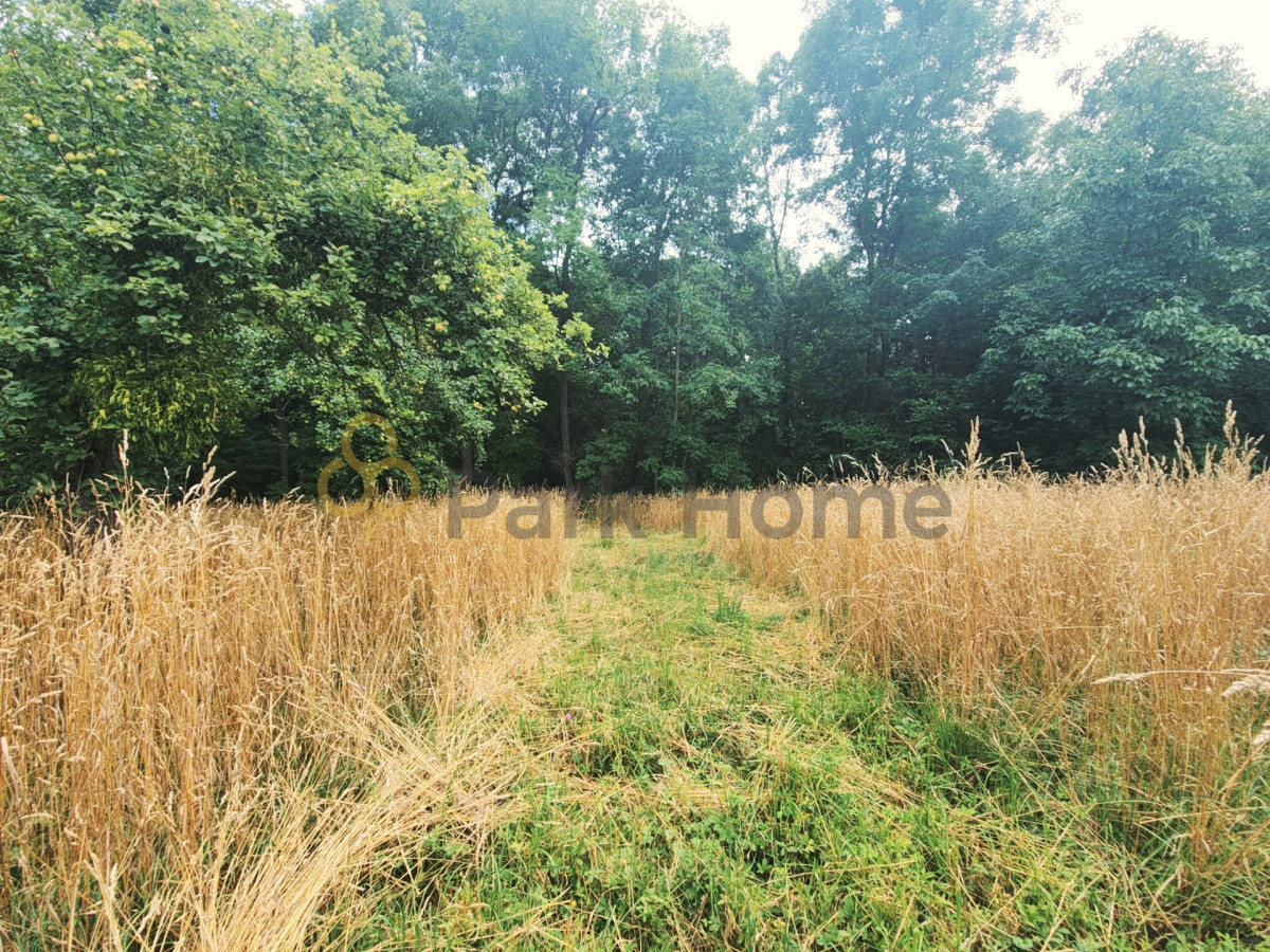 8,06 ha | Dom | Zabudowania | Idealne pod stadninę - Widok 5
