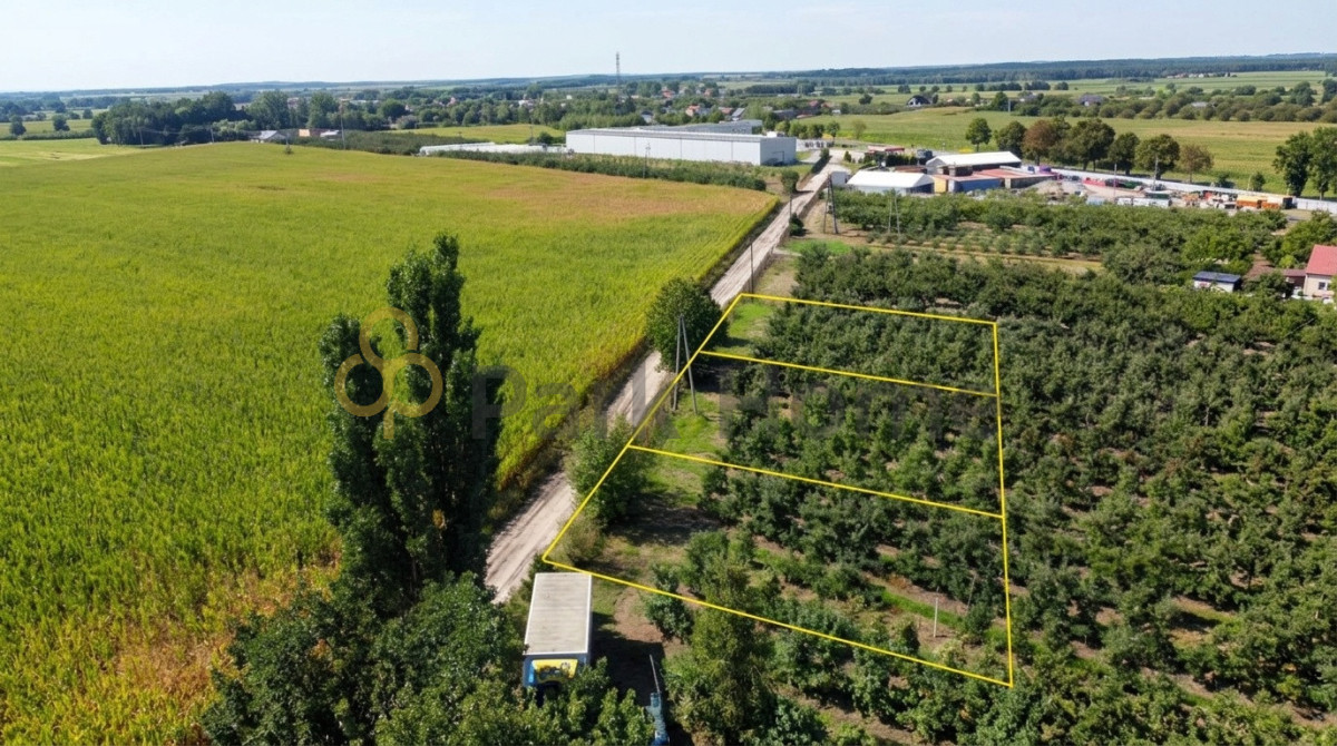 Działka 3100 m² z WZ - cisza i prywatność - Więcej