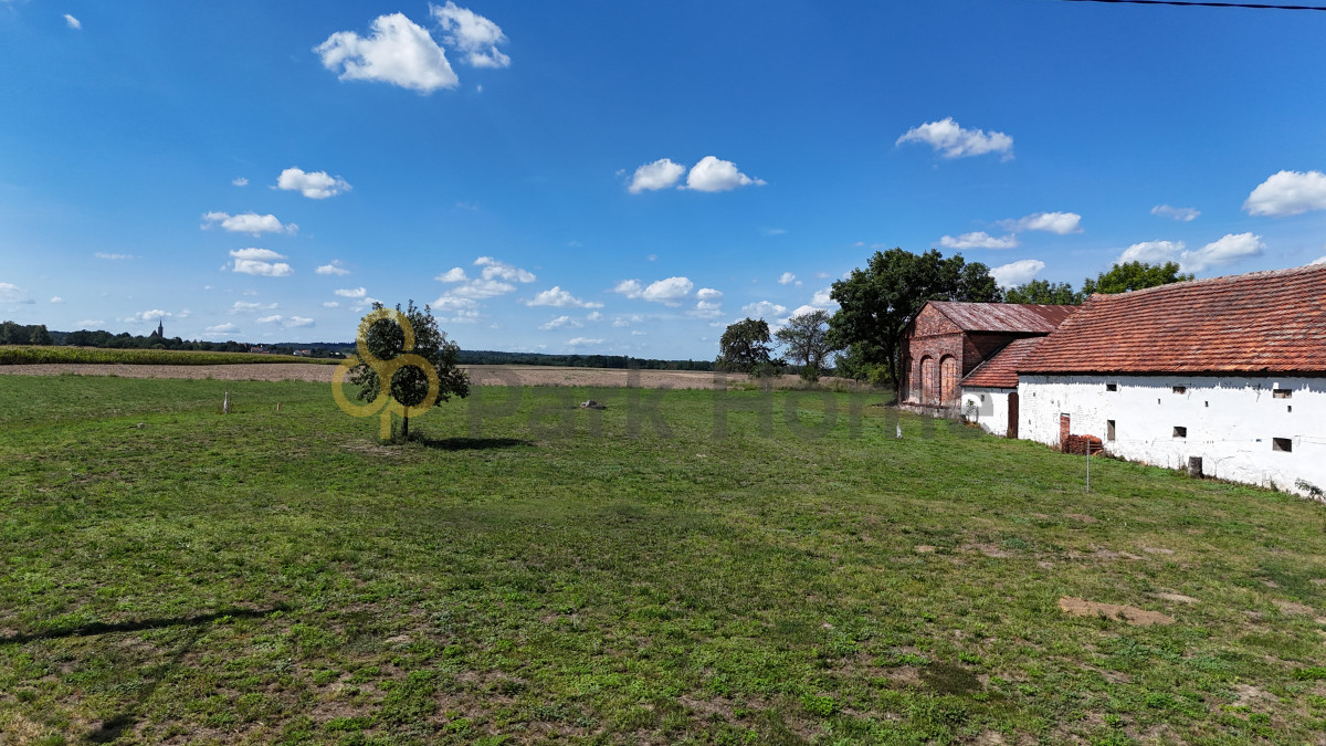 Działka budowlana Zameczno gm. Żukowice - Widok 4