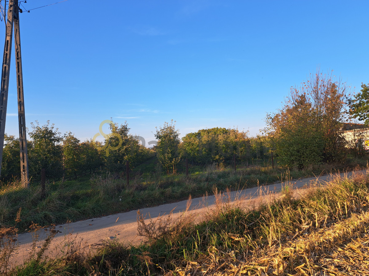 Działka 3100 m² z WZ - cisza i prywatność - Widok 5