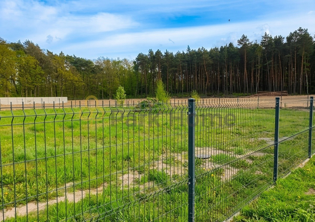 Działka z WZ, las - Widok 3