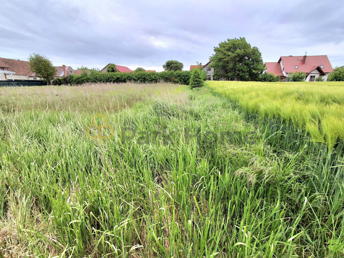 Działka 1648 m² w Bytniku - View 2