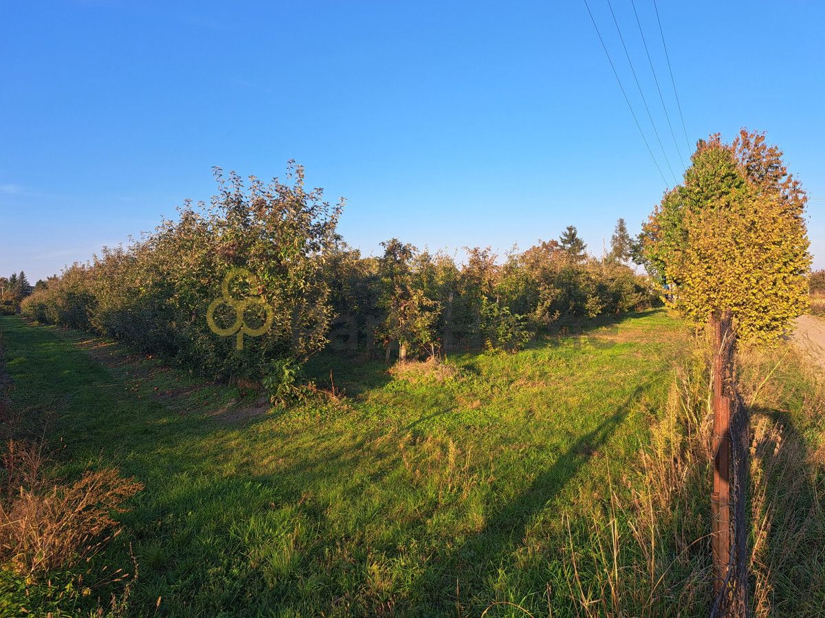 Działka 3100 m² z WZ - cisza i prywatność - Widok 2