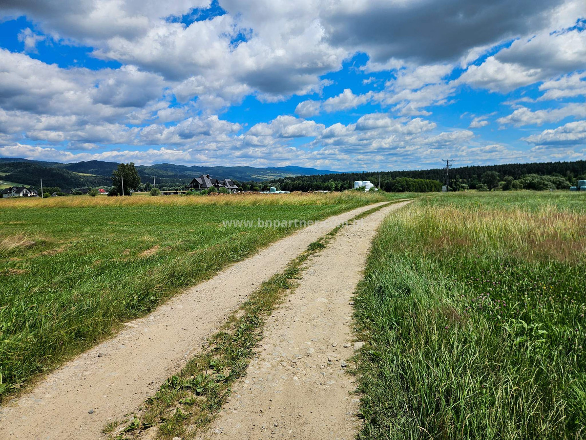 Działka rolna obok obwodnicy, Ostrowsko-Nowy Targ - View 3