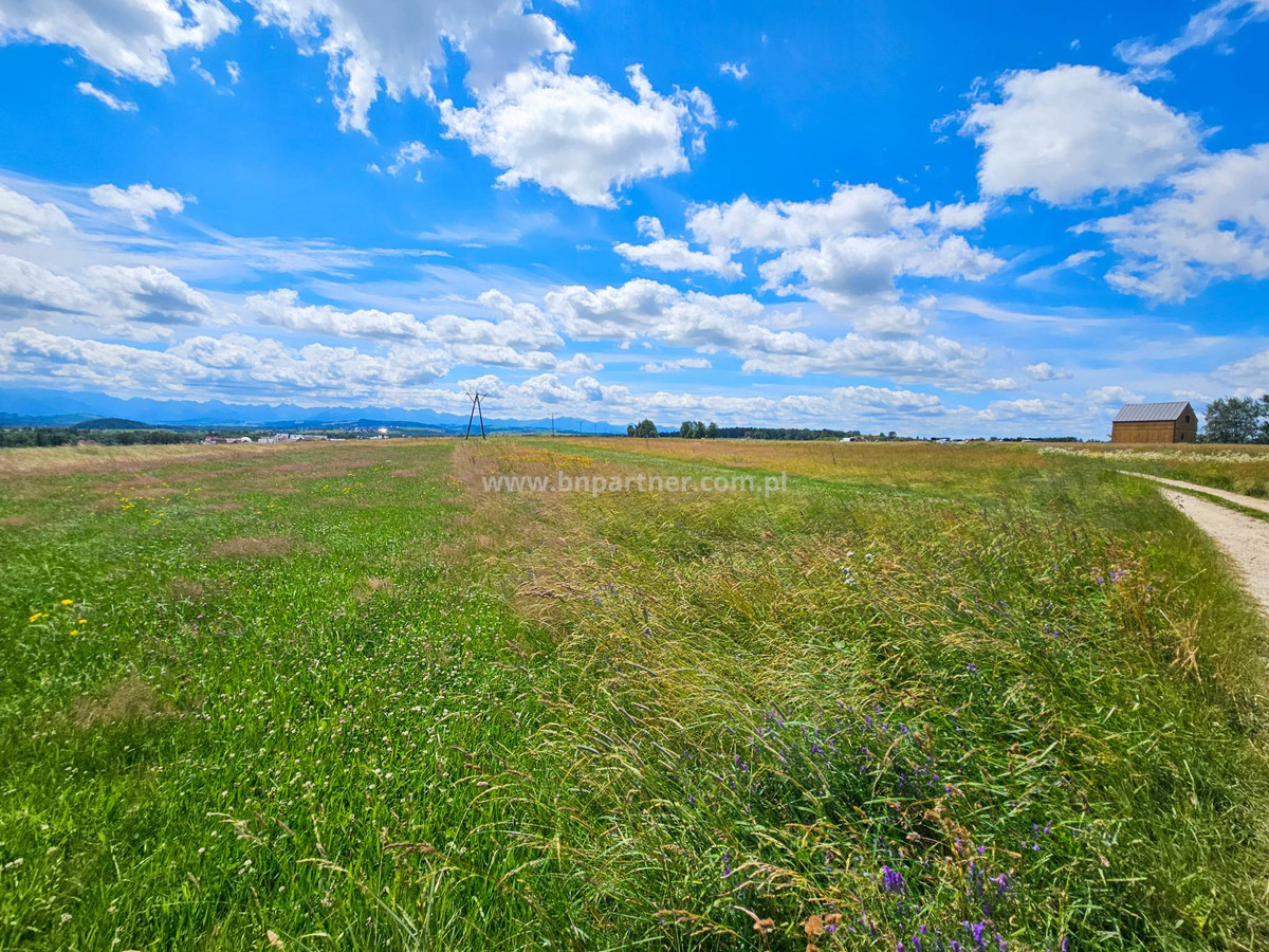 Działka rolna obok obwodnicy, Ostrowsko-Nowy Targ - View 2