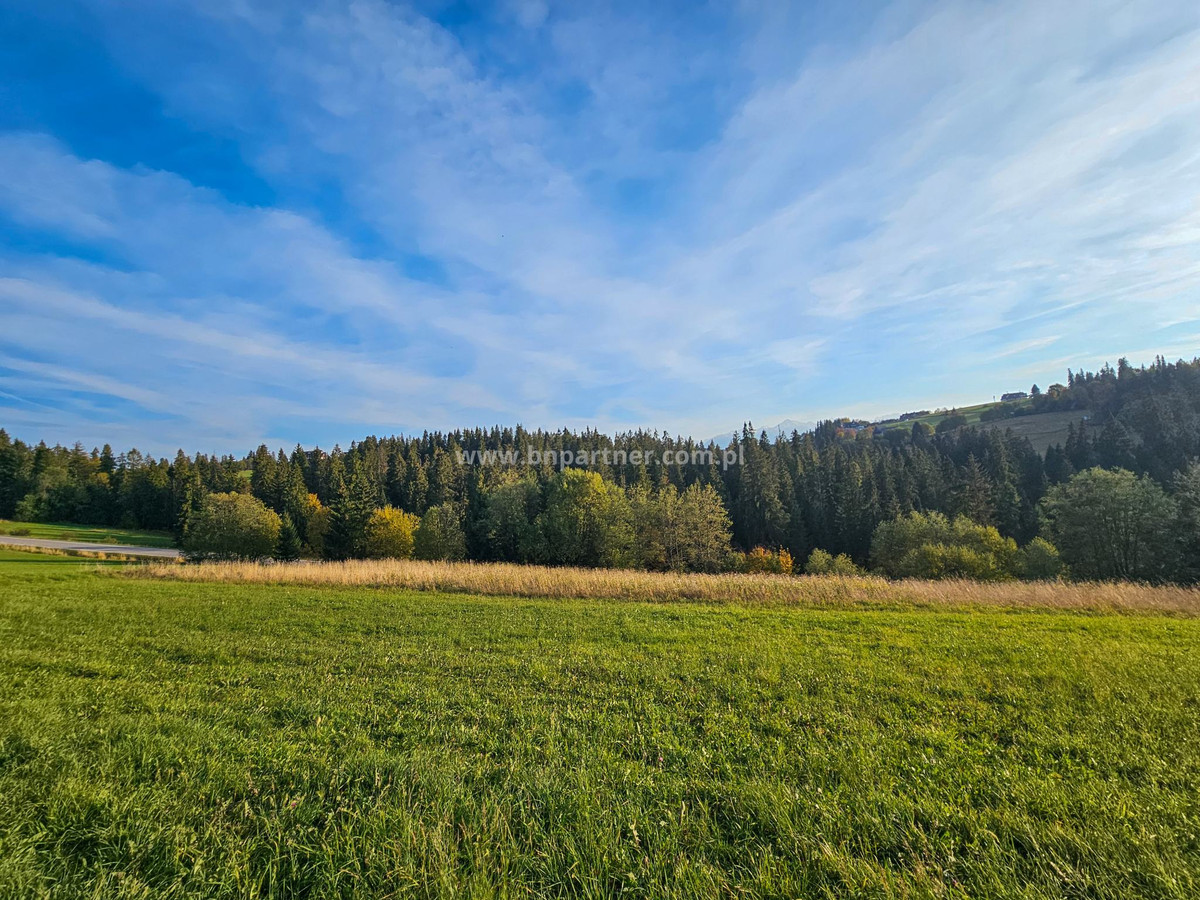 Działka budowlana 4850 m² – Groń, obok Bukowiny Tatrzańskiej - Widok 2