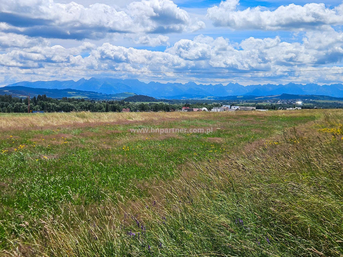 Działka rolna obok obwodnicy, Ostrowsko-Nowy Targ - View 4