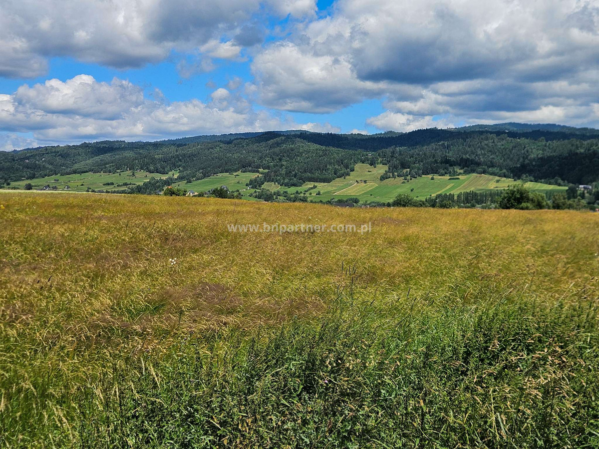 Działka rolna obok obwodnicy, Ostrowsko-Nowy Targ - View 6