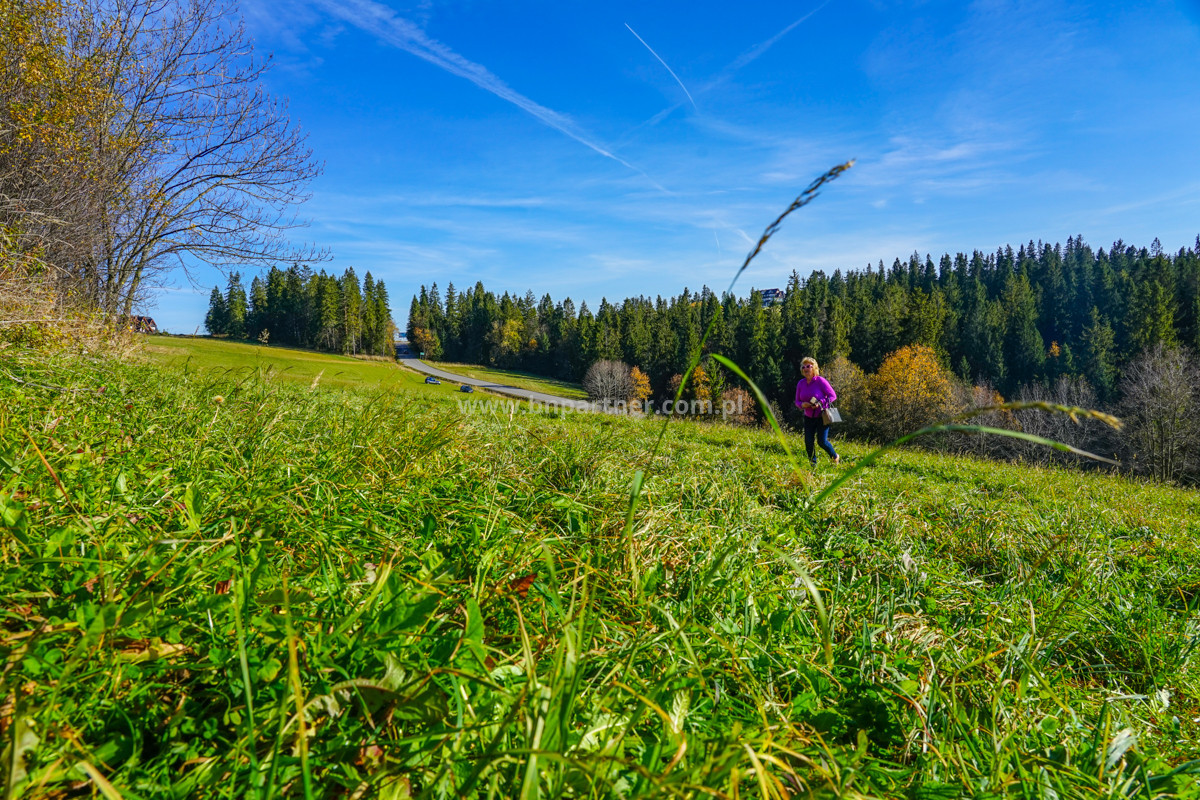 Działka budowlana 4850 m² – Groń, obok Bukowiny Tatrzańskiej - Widok 5