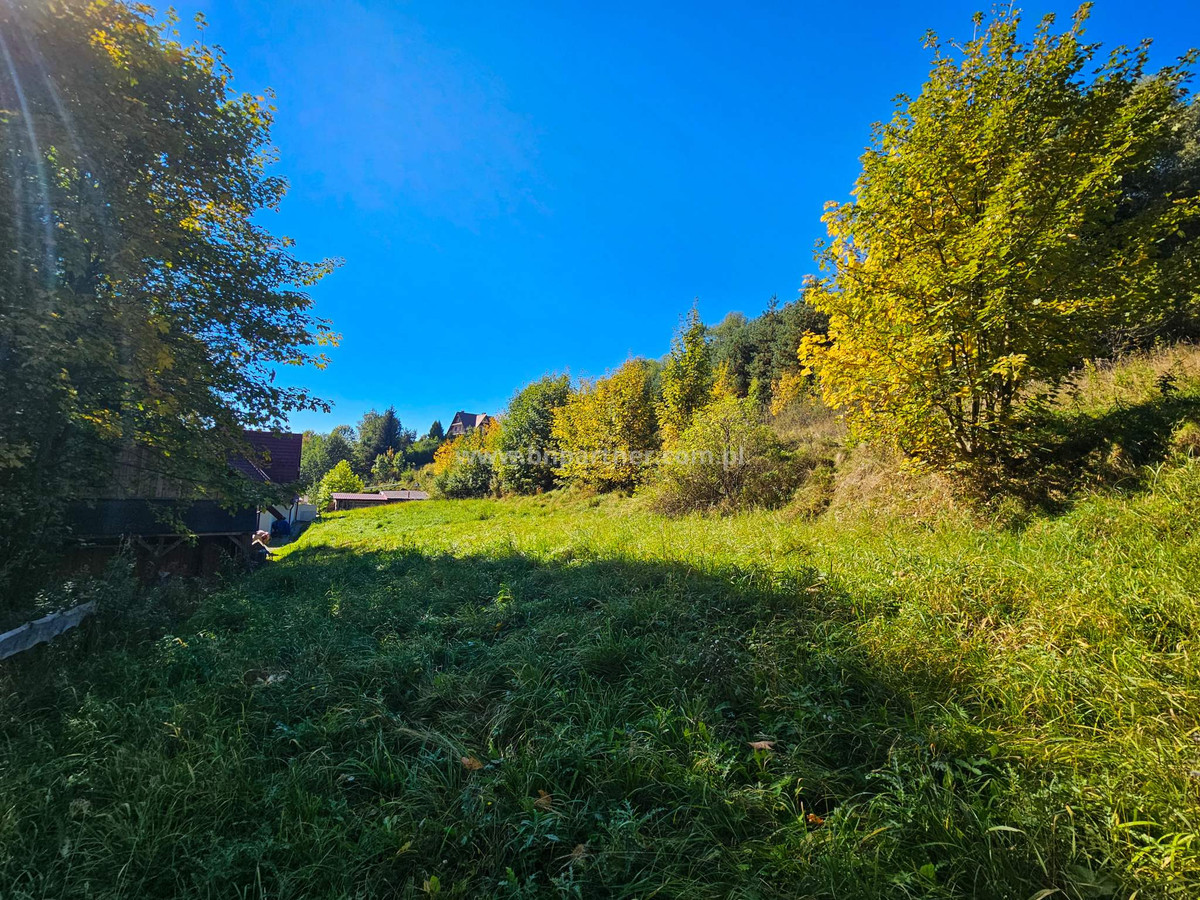 Budowlana działka na Podhalu w atrakcyjnej cenie - Widok 4