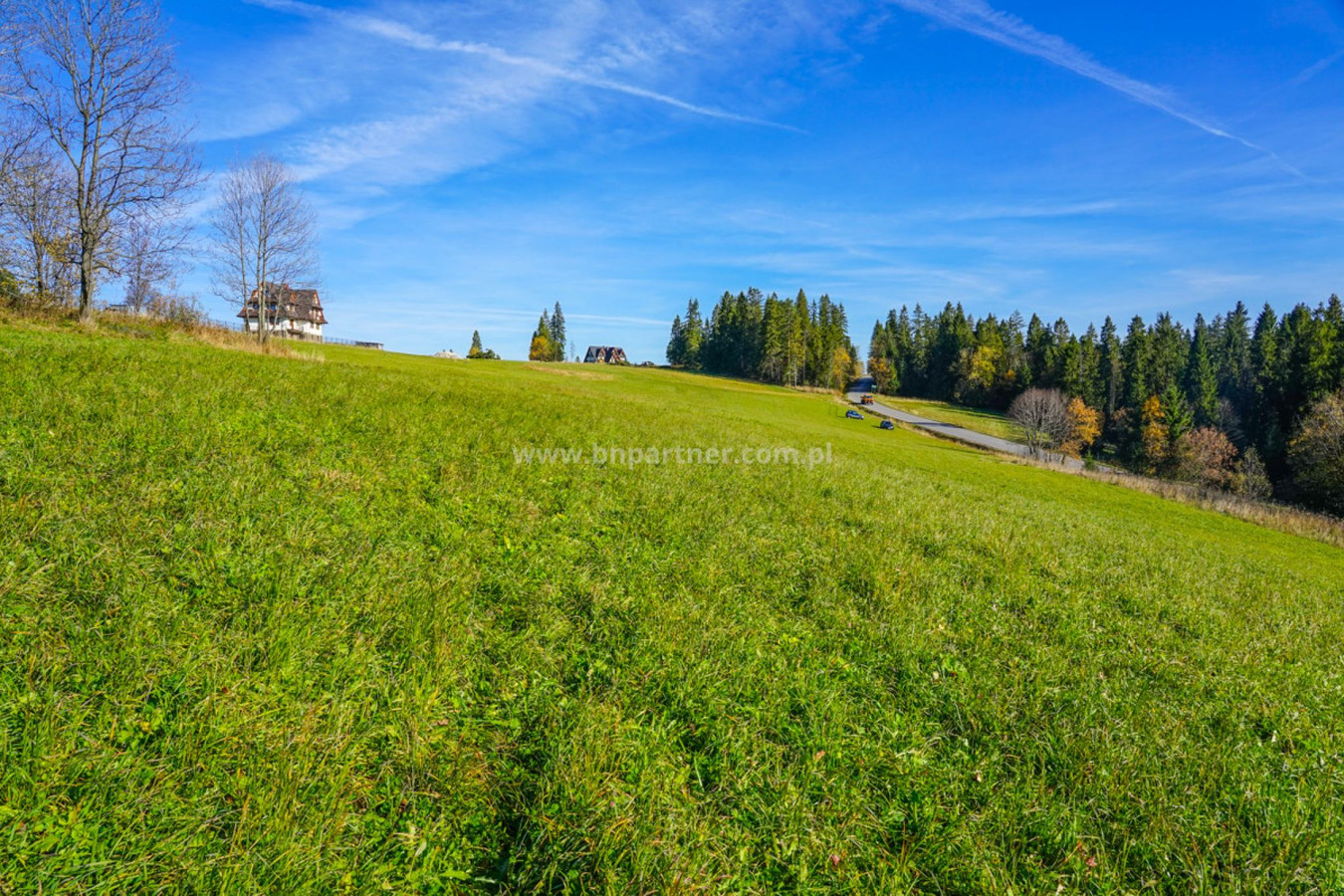 Działka budowlana 4850 m² – Groń, obok Bukowiny Tatrzańskiej - Widok 4