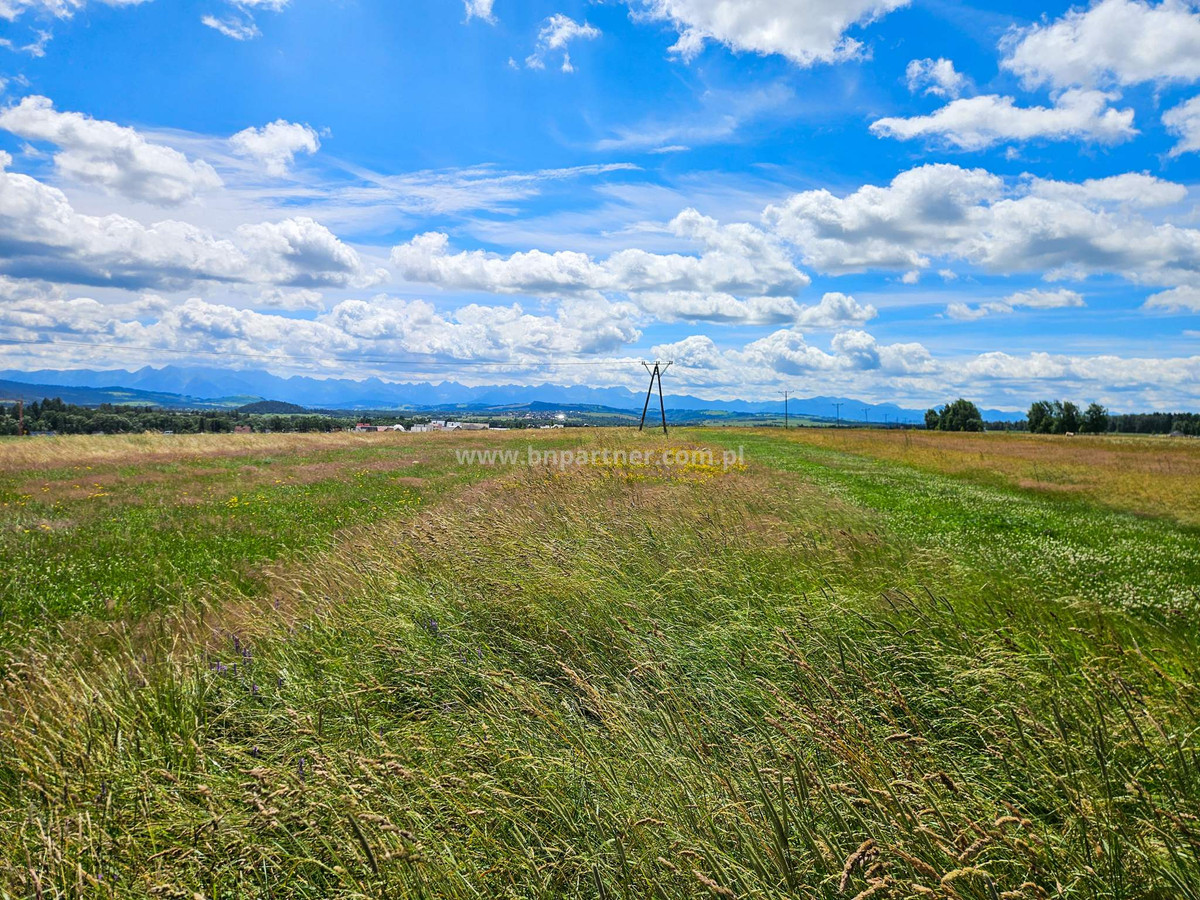Działka rolna obok obwodnicy, Ostrowsko-Nowy Targ - View 5