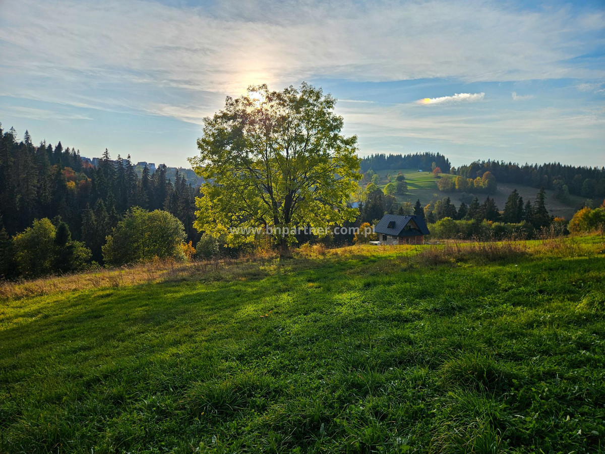 Działka budowlana 4850 m² – Groń, obok Bukowiny Tatrzańskiej - Widok 3