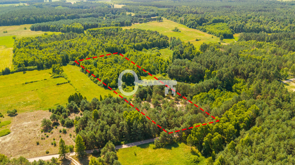 Prywatne siedlisko w sercu Borów Tucholskich - Widok 2