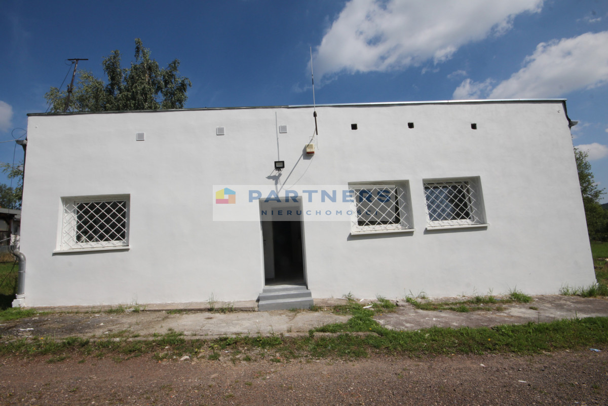gratka-295725