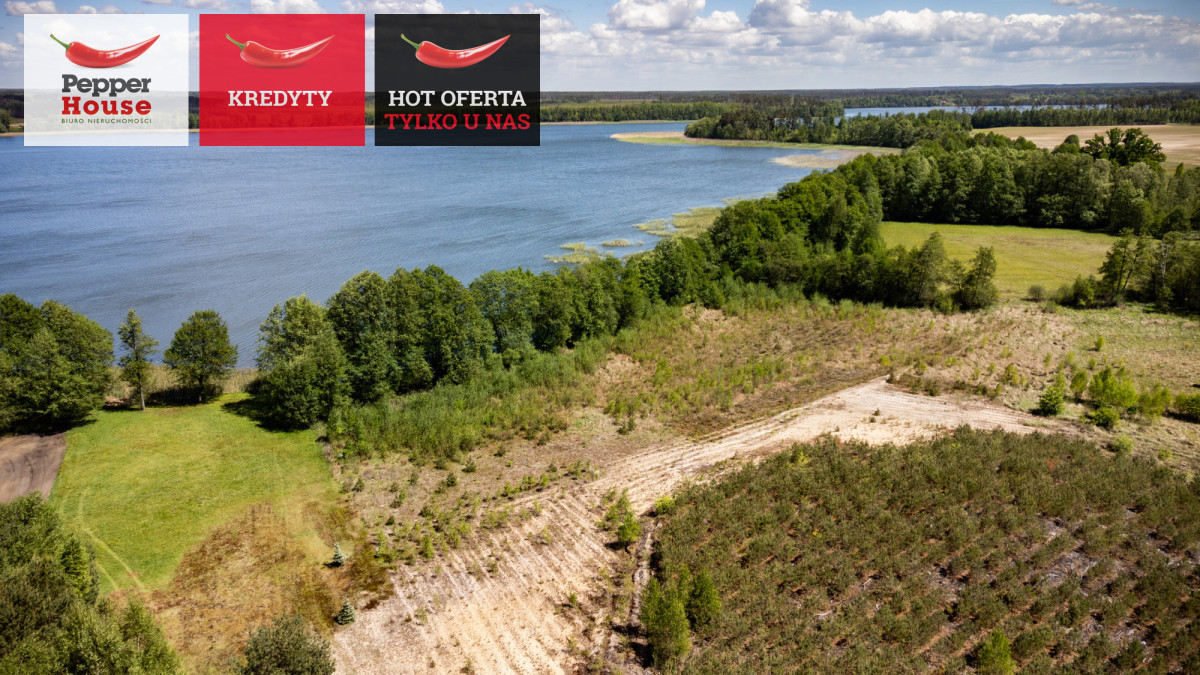 Działka nad jeziorem - linia brzegowa jeziora, las - Widok 5