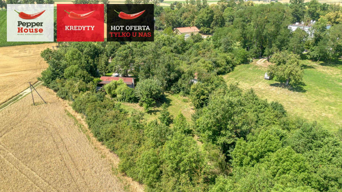 Dom – Barcin, Młodocin - Widok 3