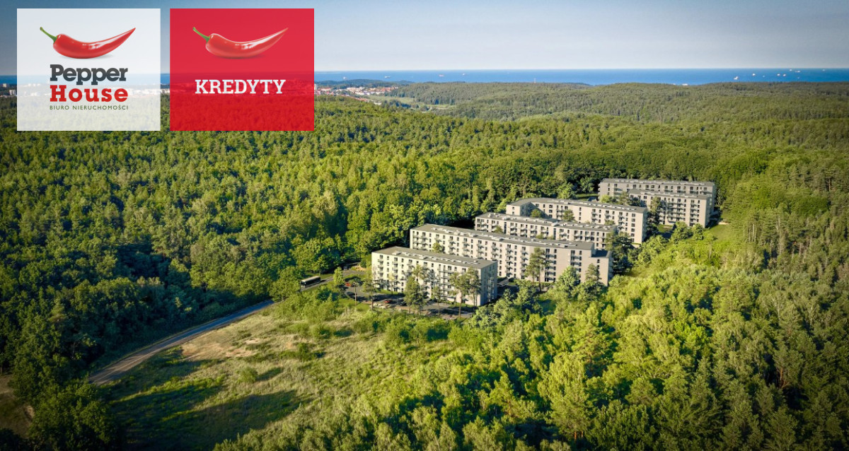 Apartment in Gdynia, Kacze Buki, Wielki Kack - Widok 4