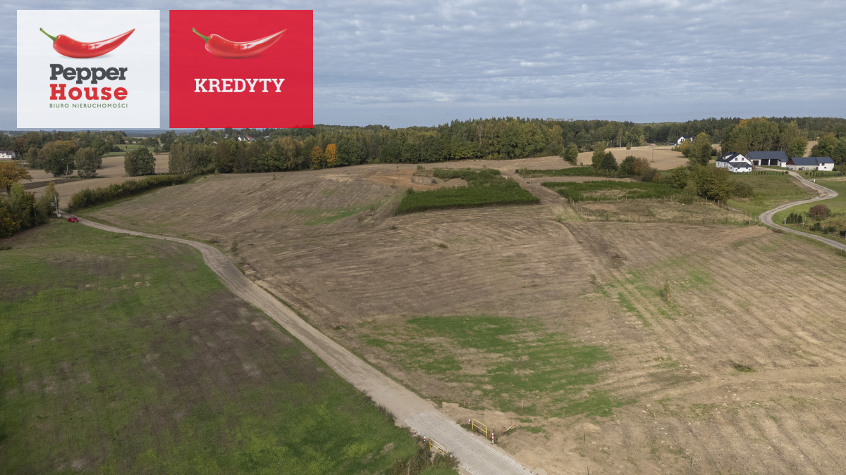 Twoja działka Kaszuby - 40 minut od Trójmiasta - Widok 4