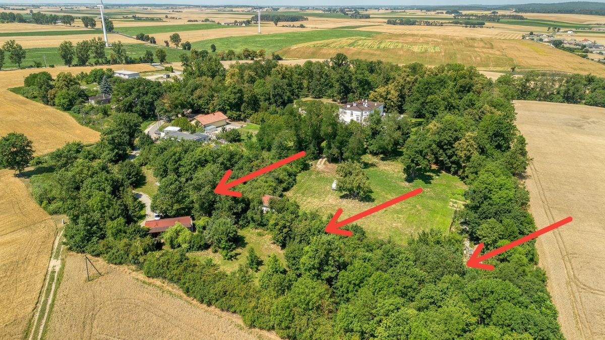 Dom – Barcin, Młodocin - Widok 4