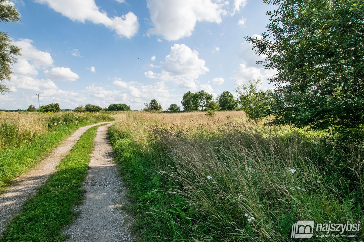 Trzebiatów - okolica, działki 11 km od morza - Widok 5