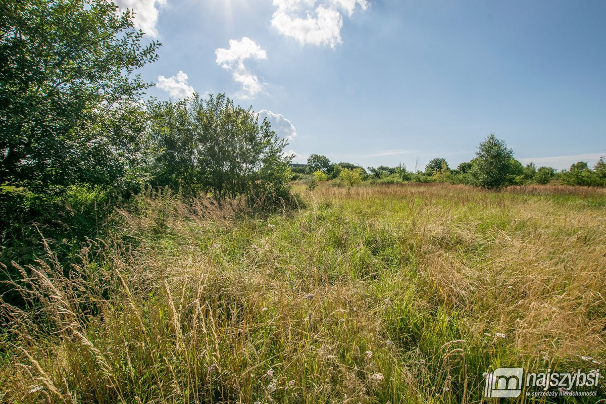 Trzebiatów - okolica, działki 11 km od morza - Widok 2