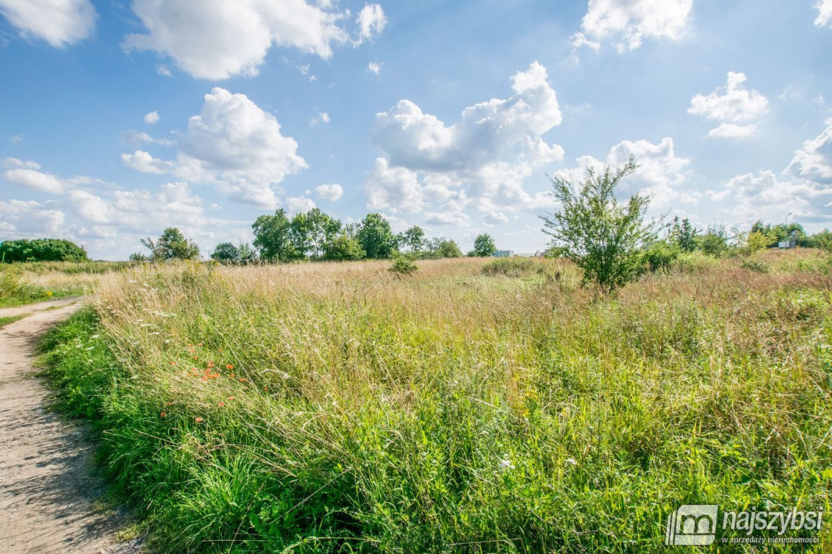 Trzebiatów - okolica, działki 11 km od morza - Widok 6