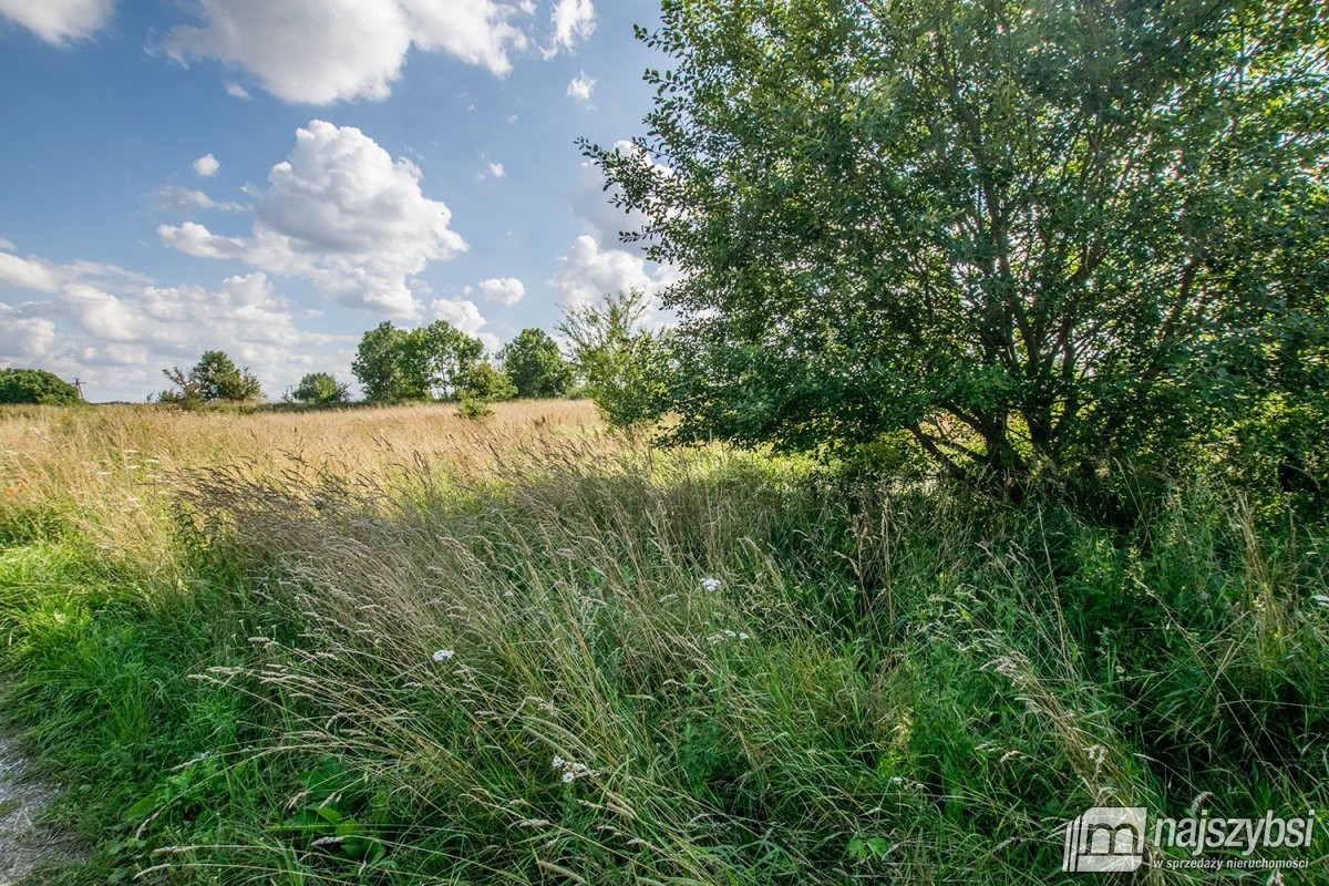 Trzebiatów - okolica, działki 11 km od morza - Widok 4
