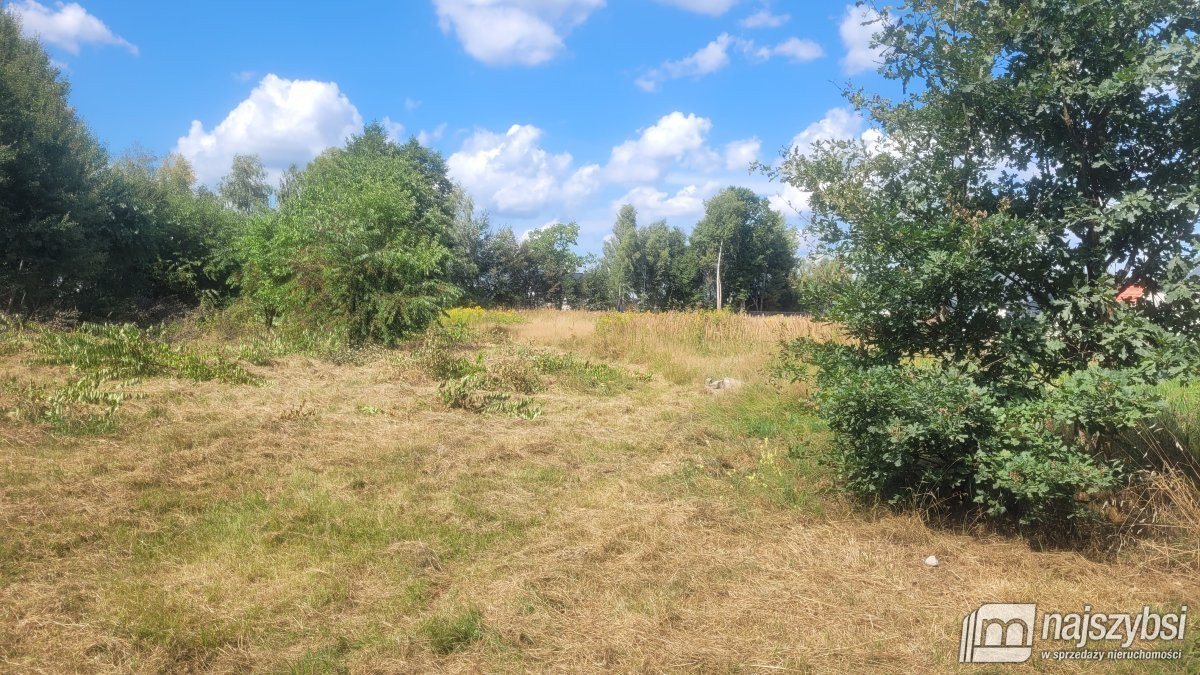 GOLENIÓW- DZIAŁKA BUDOWLANA 30 ARÓW Z WZ - Więcej