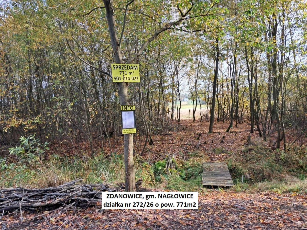 Tania działka 771 m² przy rzeczce (plan-proj. zbiornik wodny) cena tylko 24900zł - Widok 2