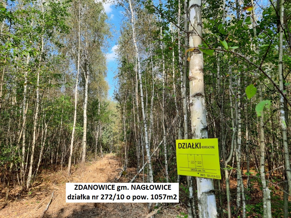 Tania działka rekreacyjna (plan) 1057 m² cena tylko 56.900 zł - Widok 2