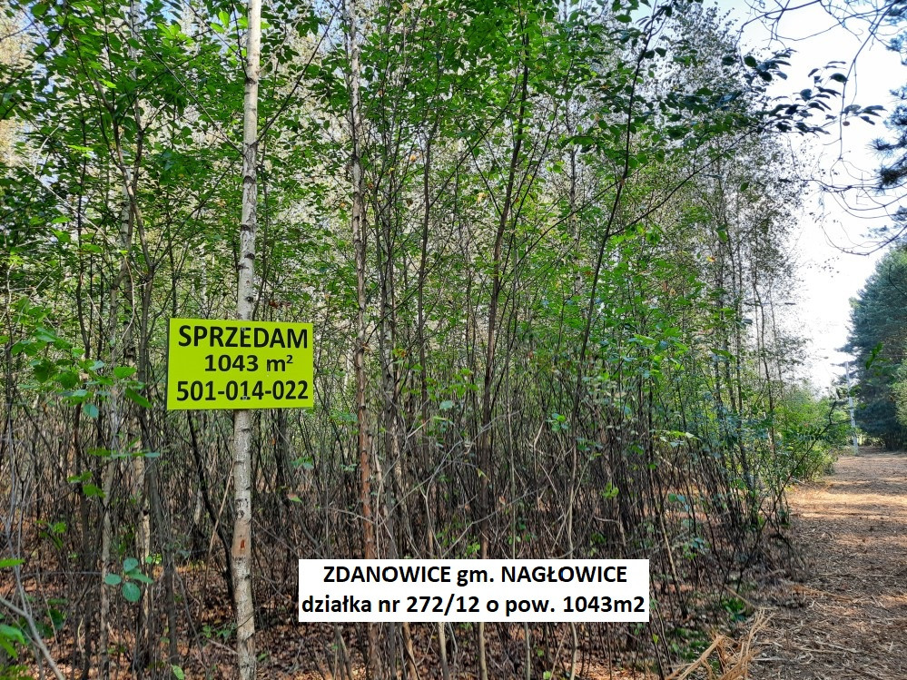 Tania działka rekreacyjna (plan)1043 m² tylko 52.900 zł (brutto z 23% VAT) - Widok 2