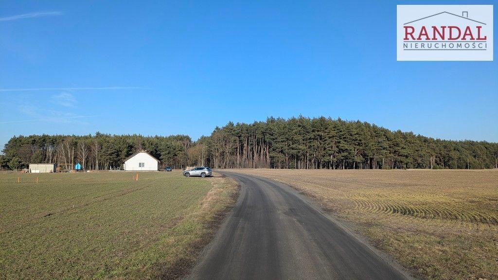 działka w blisko lasów - Widok 5