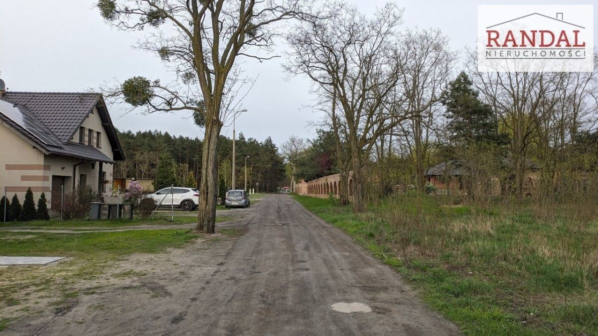 działka w otoczeniu lasów - Widok 4
