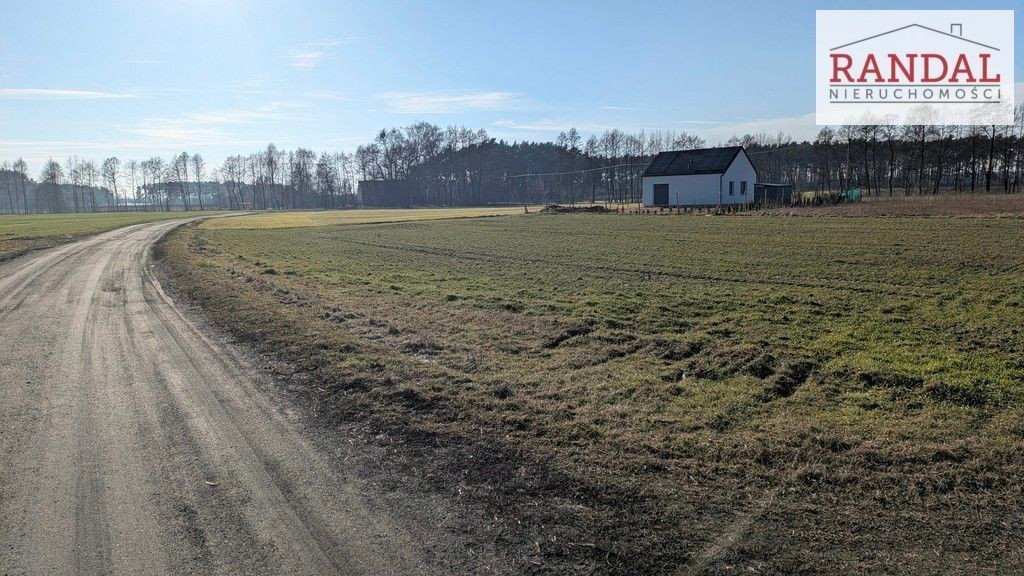 działka w blisko lasów - Widok 4