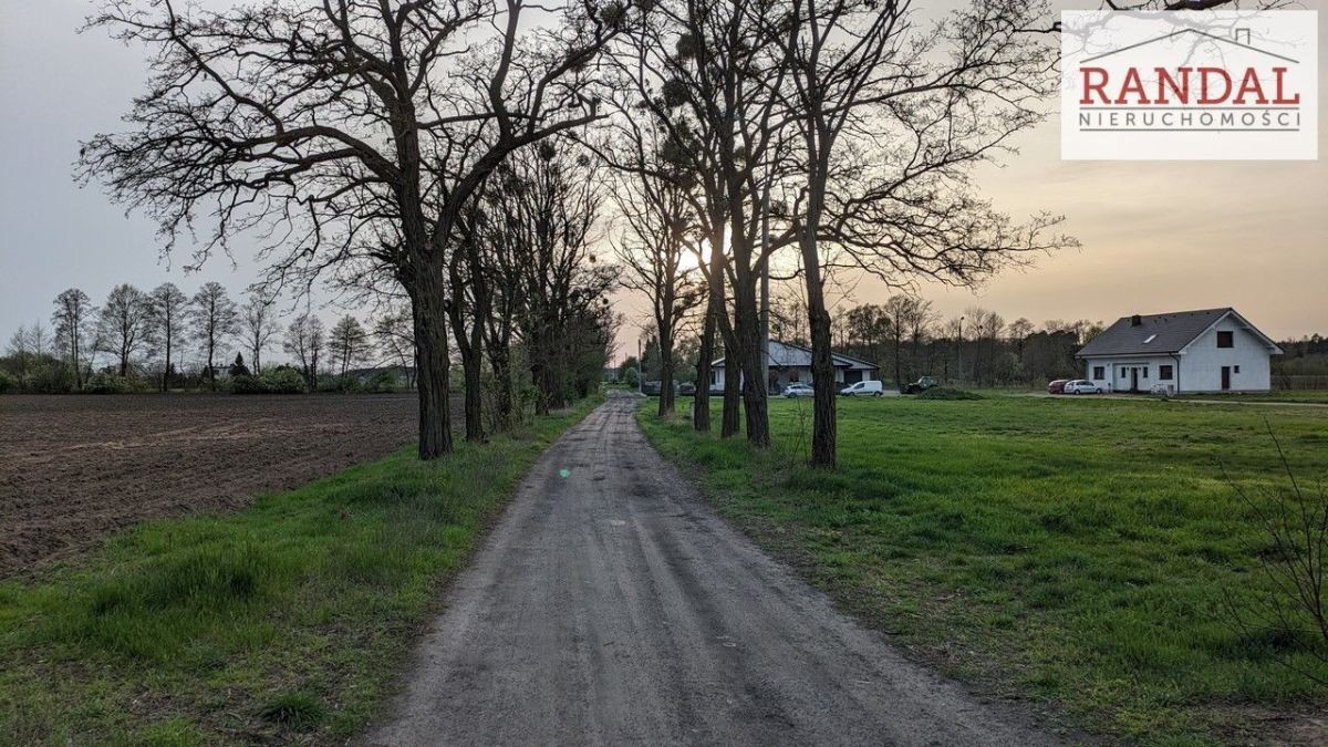 działka w otoczeniu lasów - Widok 2
