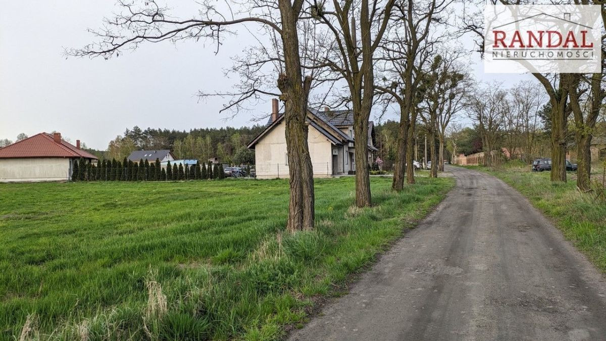 działka w otoczeniu lasów - Widok 3
